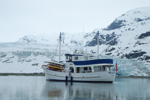 Ursa Major in Winter - Alaska Sea Kayaking Adventures